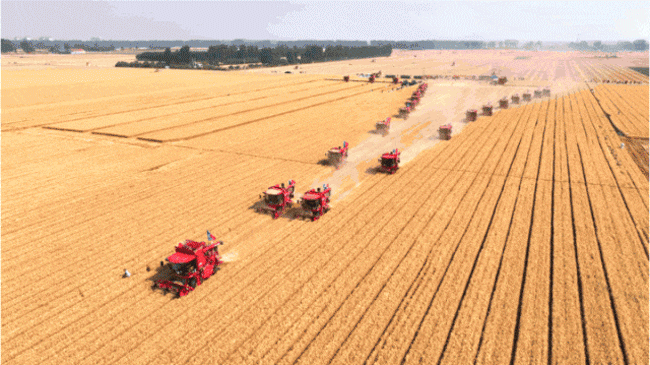 yp街机(中国)电子游戏官网